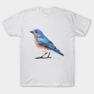 Eastern Bluebird drawing (no background) T-Shirt